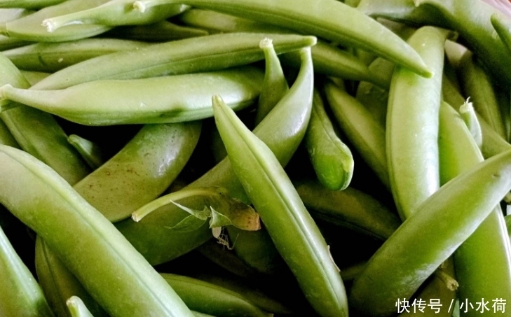 虫卵|5种最“脏”的蔬菜,虫卵多肉眼却看不见,第3种我们经常吃