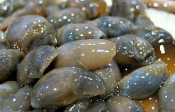 小龙虾|它曾被当作“祸害”,现却变成下酒菜,取代小龙虾,成为夜宵之王