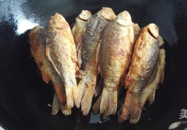  优质的鲫鱼|营养比甲鱼高，只能是它，红烧煲汤都好吃，5块一斤却无人问津