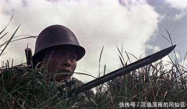 零式步|罪恶昭彰的“三八式步枪”日寇屠刀，被誉为发射子弹的长矛！