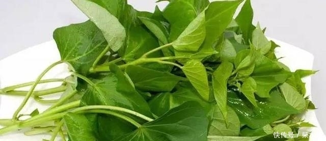 大蒜和小米|红薯好吃,红薯叶更香,大厨教你红薯叶好吃的做法,炒一盘不够吃