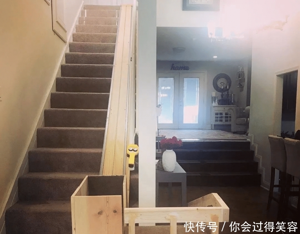 在家|主人亲手在家搭建电梯,十岁残疾狗狗心愿终得实现