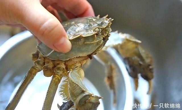 中秋|螃蟹鲜美又不掉腿的窍门你会吗,比清蒸还要实用,中秋家宴少不了