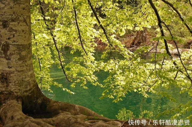 摩羯座|8月,因缘际会,桃花纷纷,将遇真爱,携手白头的3大星座