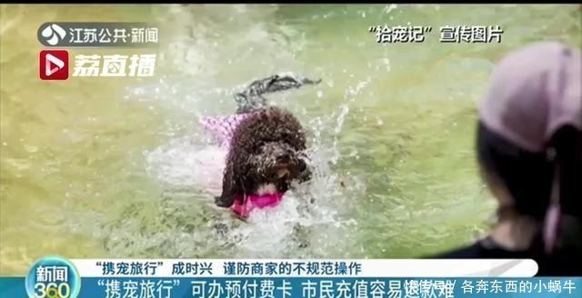 预付费|看着很美！“带着宠物去旅行”还可办预付费卡 充值容易退款难