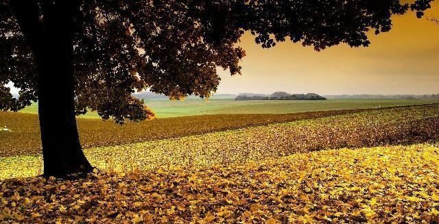  句句|最值得收藏的经典语录，句句深入人心，说出了你的心声