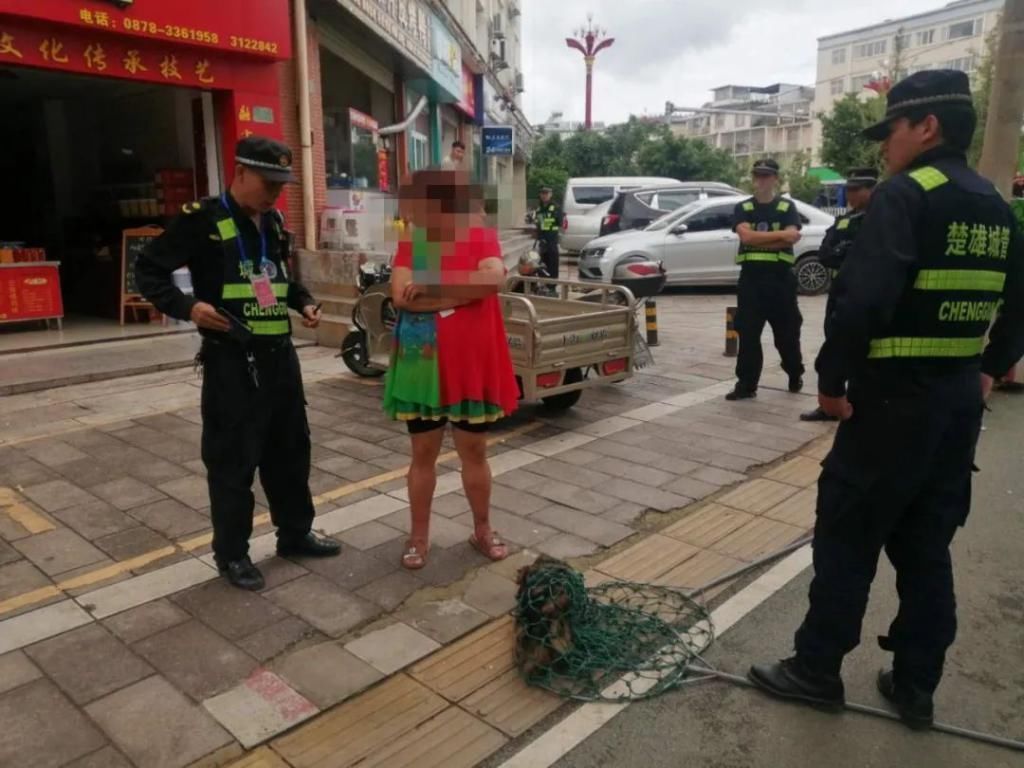 罚款|散发小广告、不文明养犬……这行不文明行为被曝光了