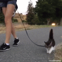  搞笑|搞笑GIF：孩子，你怎么那么懒呢？你就放心啊！