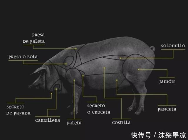 新宠|年夜饭盘中新宠,C位留给与鹅肝、松露、鱼子酱齐名的它!