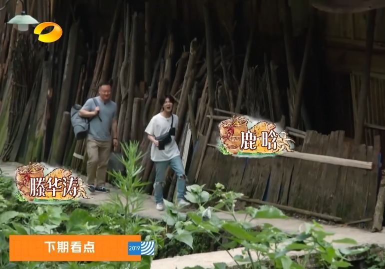  刘宪华|《向往3》下期要爆了，观众想看的人回来了，就算熬夜也追定了