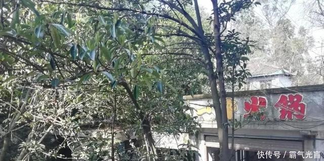 白领|宜宾新晋“美食街”,一到饭点儿人挤人!学生、白领都爱去……