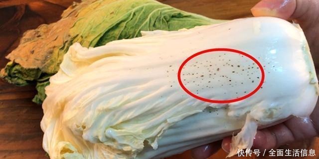 留意|爱吃白菜的人要留意了,我也是今天才刚知道,抓紧告诉身边人