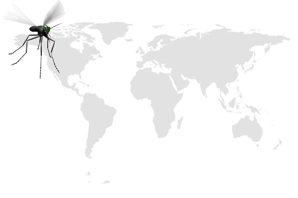人类|跟蚊子大战数千年,人类终于要扳回一局了?