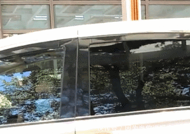  摸手|王一博回归天天兄弟变小孩，汪涵开车他在后座撒娇，摸手安抚太宠