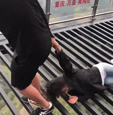 自由|搞笑GIF:没有什么能够阻挡,你对自由的向往