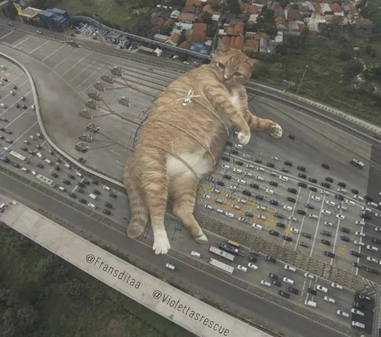  哥斯拉|要是小猫咪突然变成了庞然大物，这个世界会是什么样的