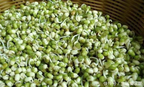 简单|吃了30年的豆芽，原来发豆芽这么简单，几天就能吃，先收藏了
