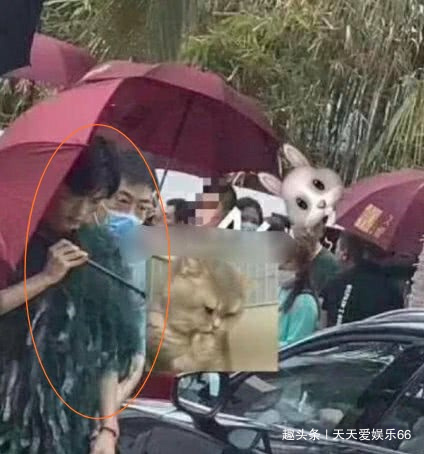  保护|谁在“逼”肖战要雇至少10个人来保护自己他到底在防谁