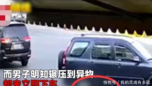  来回|黑狗躺在路上，被男子开车来回辗压狠踹，一旁同伴急得狂吠打转！