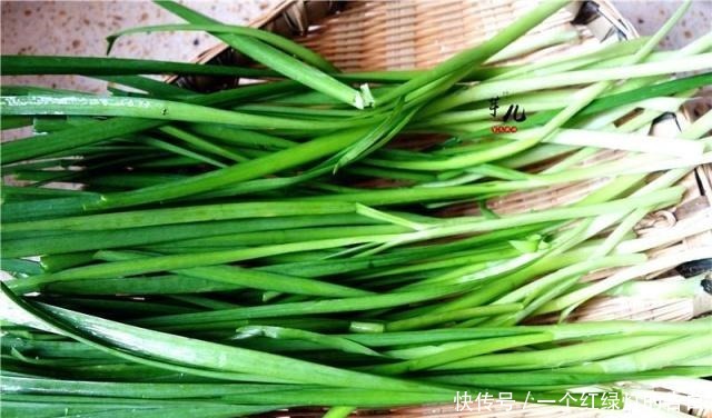 懒人|懒人早餐新吃法,比做韭菜盒子更简单,一卷一煎,香酥可口吃不够