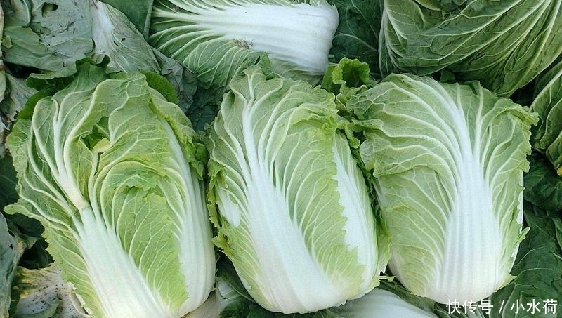 虫卵|5种最“脏”的蔬菜,虫卵多肉眼却看不见,第3种我们经常吃