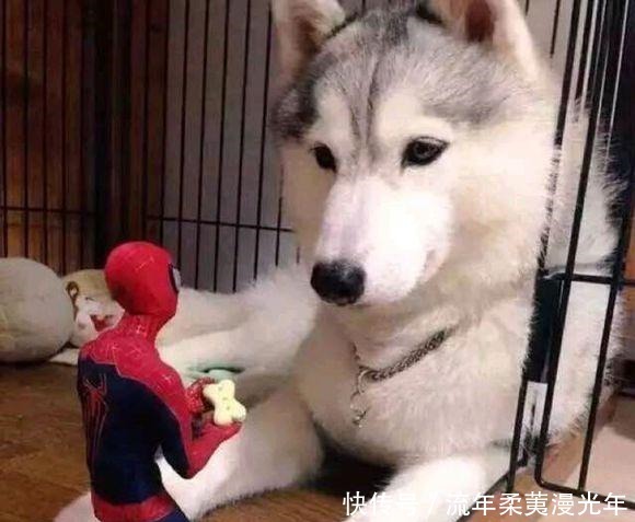  新娘|新娘，不是我打击你，也只有自行车才配得起你