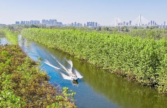  划船|划船上班帐篷办公，民警江中护平安