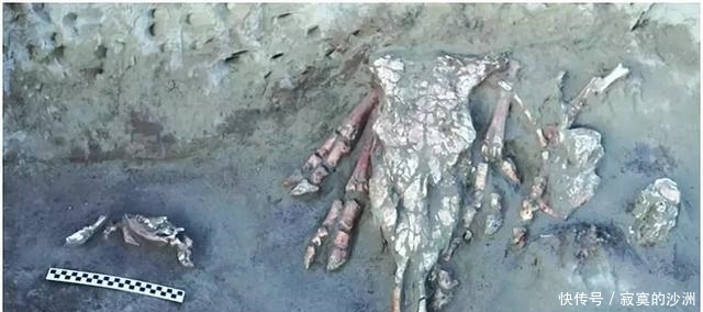 归宿|绝境守卫者:大秦长城军团的最后归宿