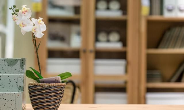 时光|愿你不争不抢,自有时光打赏