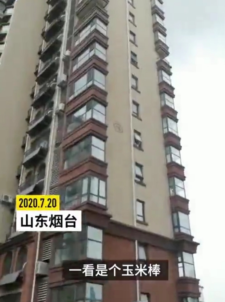  物业|高空抛玉米伤人物业欲全楼验DNA：肇事者承担全部检测费用！