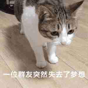 理科|别让理科男养猫,你永远不知道他会拿你的猫去计算些什么东西