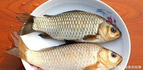 养殖|它曾是“四大名鱼”之一，想吃靠运气，如今5元一斤没人买，可惜