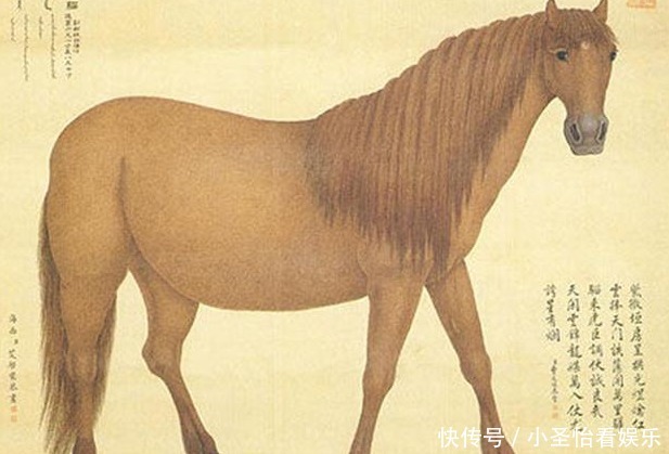 乾隆四宝马:一匹炯星骝,一匹飞霞骝,一匹足