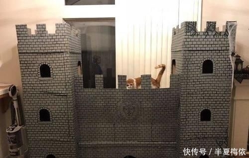 豪华|有才!外国网友用废纸箱,给喵星人打造豪华城堡