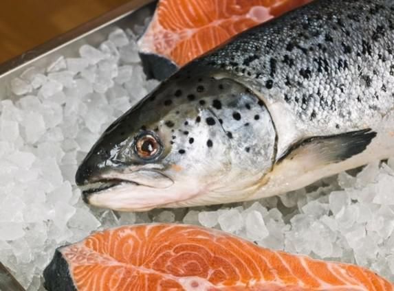 口感|日本最奇葩美食,吃之前必须要求穿尿不湿,食客口感一百分