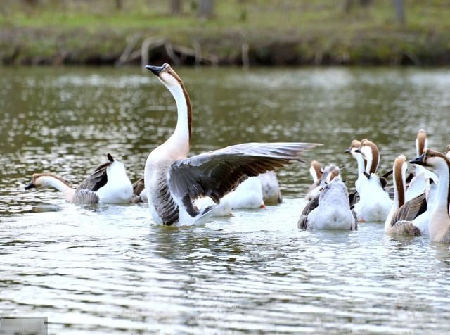 本快|目前在小城市,做什么什么风险小、回本快?这几种可以考察了解