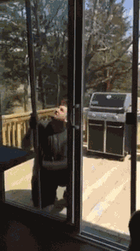 公园|姑娘,你们这是拍电视剧的吗,公园人来人往的看着也真尴尬