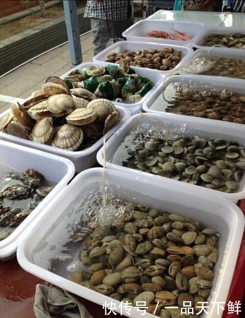 终于|又一个海鲜圣地,大青蟹5元一只,120管饱,终于吃得起海鲜了