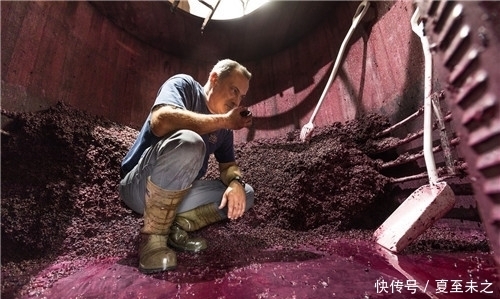 罗纳河谷葡萄园的葡|罗纳河谷葡萄园的“关键词”之旅