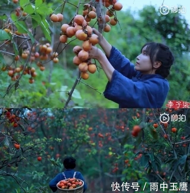  在家|在家种个菜都这么美，还要什么花园？