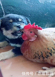 足球|让妹纸来告诉你什么才叫颠足球,哈哈哈哈