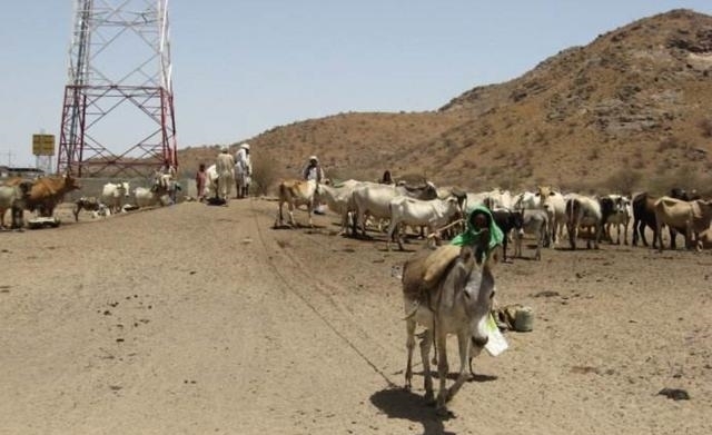 埃塞俄比亚|非洲最作死国家, 强行从母国独立, 与3大邻国开战, 现在国家赤贫