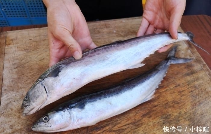 特别|炖鱼时,加酒加醋去腥是大错特错教你最好吃做法,上桌就抢光