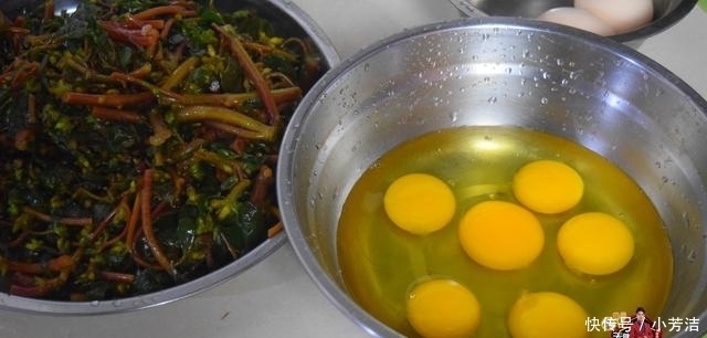 遍地|农村遍地是的马齿览,加上6只鸡蛋锅里一炒,又好吃又下饭