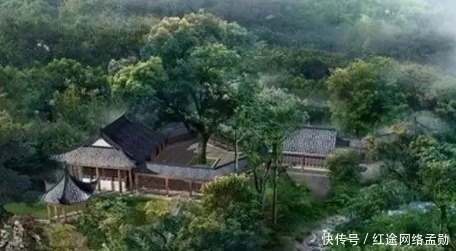 栽桑|农村老话为什么说前不栽桑 , 后不栽柳 , 院中不栽鬼拍手