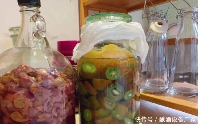 白糖|家庭烧酒设备-猕猴桃酒酿造方法