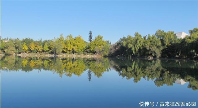 晕血|晕血医学博士张进生:顶着北大名号月薪2000,谁毁了他的人生