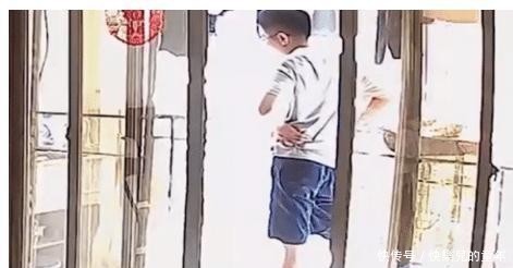 事件|准研究生虐狗事件后续：不过是脚踹而已，为何要上升到开除学籍？