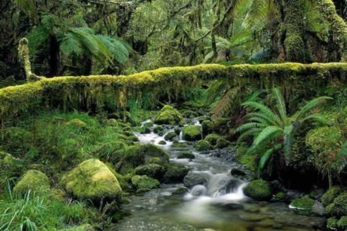 郑和下西洋|明宣宗时期放弃那么多领土，为何却带来了明朝的黄金时代