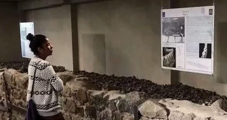 汉堡|全球唯一一家透明地板的麦当劳,低头看着面,汉堡炸鸡都不美味了